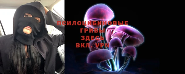ешки Алексеевка