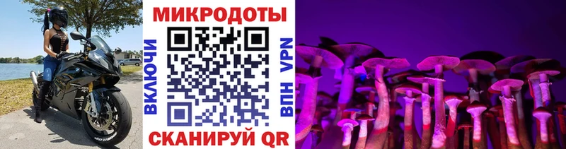 Галлюциногенные грибы мухоморы Междуреченск