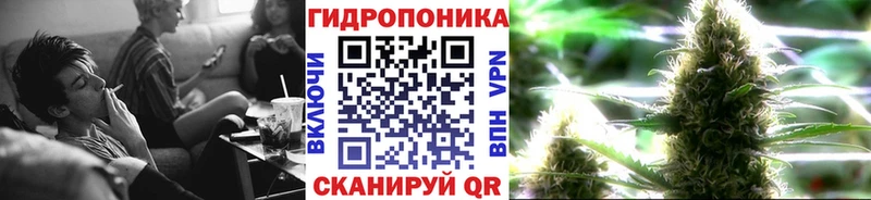 мориарти формула  наркошоп  Междуреченск  Конопля VHQ 